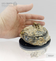 Handmade bronze tiger figure on agate druzy box at dolerite base