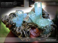 Sky Blue aquamarine Island with Pink Apatite 9 020 CT on Muscovite Небесно-голубой аквамариновый «Остров» с розовым Апатитом 9 020 Карат на мусковите 