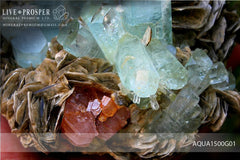 Sky Blue aquamarine Island with Pink Apatite 9 020 CT on Muscovite Небесно-голубой аквамариновый «Остров» с розовым Апатитом 9 020 Карат на мусковите 