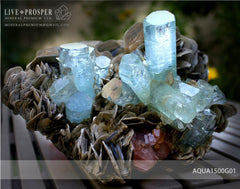 Sky Blue aquamarine Island with Pink Apatite 9 020 CT on Muscovite Небесно-голубой аквамариновый «Остров» с розовым Апатитом 9 020 Карат на мусковите 