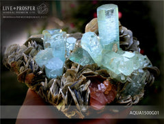 Sky Blue aquamarine Island with Pink Apatite 9 020 CT on Muscovite Небесно-голубой аквамариновый «Остров» с розовым Апатитом 9 020 Карат на мусковите 